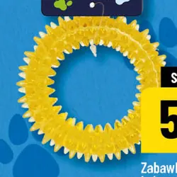 Zabawka dla psa kolce ring