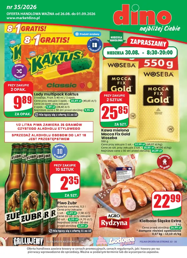 Strona 1 gazetki Dino