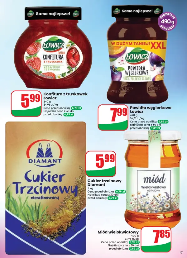 Strona 17 gazetki Dino