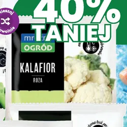 Mroźny Ogród Kalafior