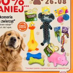 Akcesoria dla zwierząt