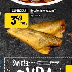 Nototenia wędzona