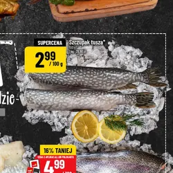Szczupak tusza