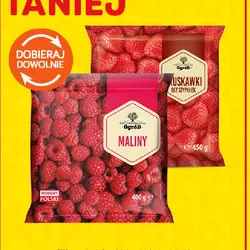 Owoce mrożone Zaczarowany Ogród