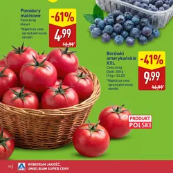 Borówki amerykańskie XXL