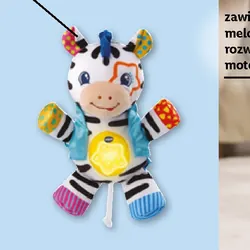 Przebojowa zebra