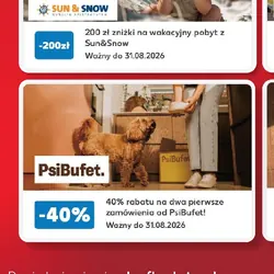 Karma dla psów