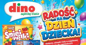 Nowa gazetka Dino (27.05–01.06): Co warto kupić? Szybkie podsumowanie promocyjnych hitów