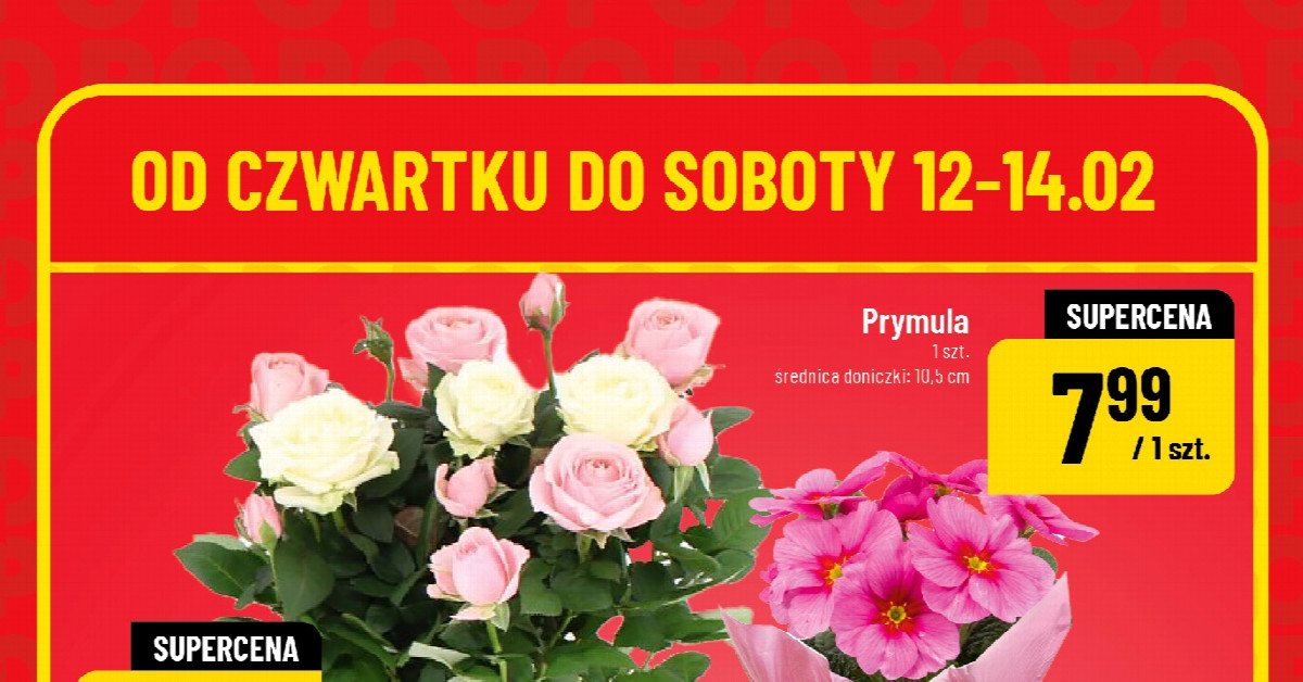 Nowa gazetka POLOmarket (12–14.02): wszystkie okazje, które musisz poznać przed Walentynkami!