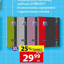 Kołonotatnik A4 Active