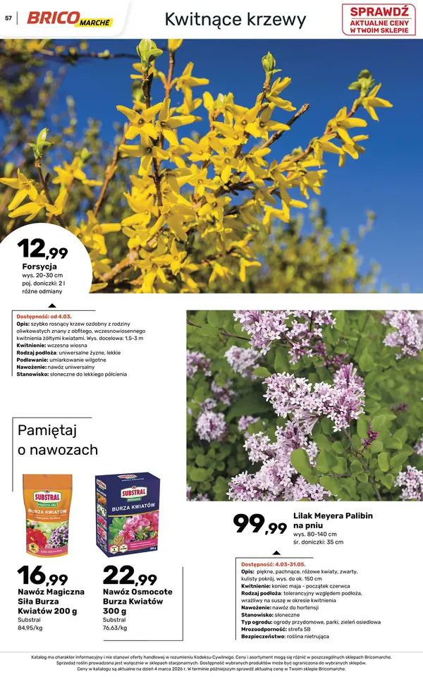 Strona 57 gazetki Bricomarche