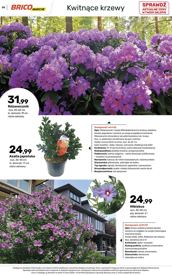 Strona 58 gazetki Bricomarche