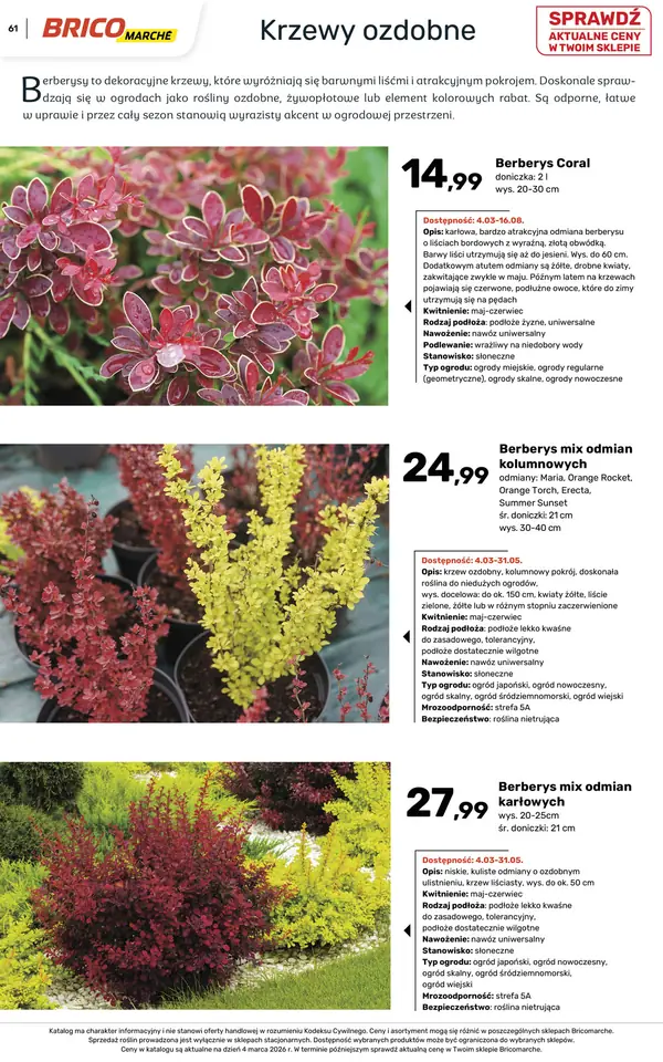 Strona 61 gazetki Bricomarche