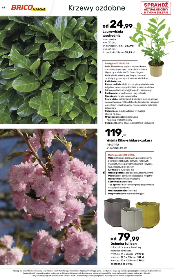 Strona 62 gazetki Bricomarche