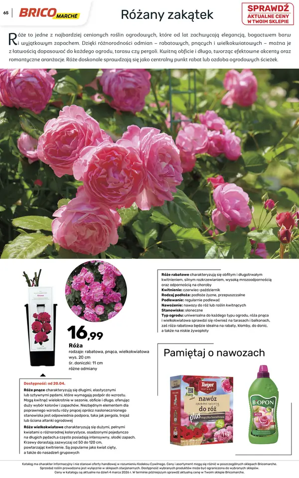 Strona 65 gazetki Bricomarche