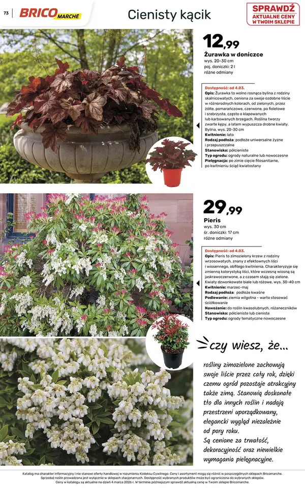 Strona 73 gazetki Bricomarche