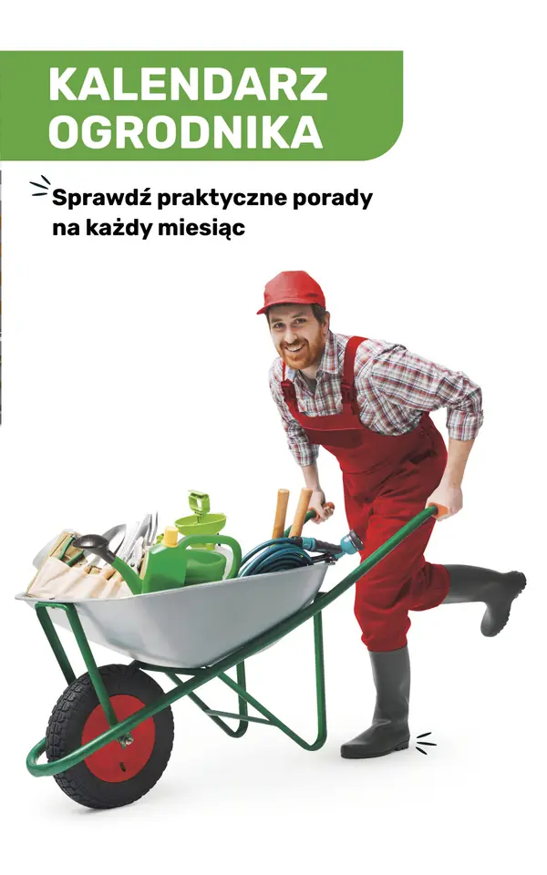 Strona 121 gazetki Bricomarche