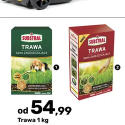 Trawa 1 kg