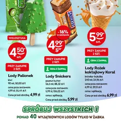 Lody Palionek kiwi