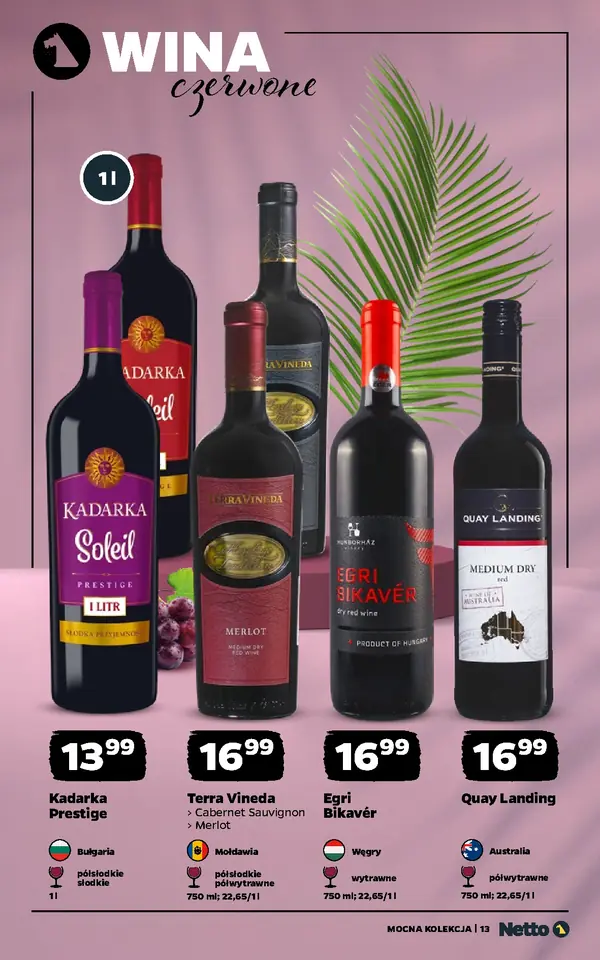 Strona 13 gazetki Netto