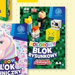 Blok techniczny lub rysunkowy kolorowy