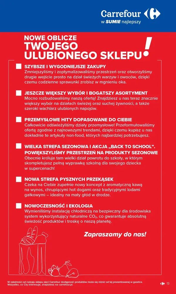 Strona 13 gazetki Carrefour