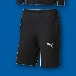 Spodenki dresowe męskie Puma