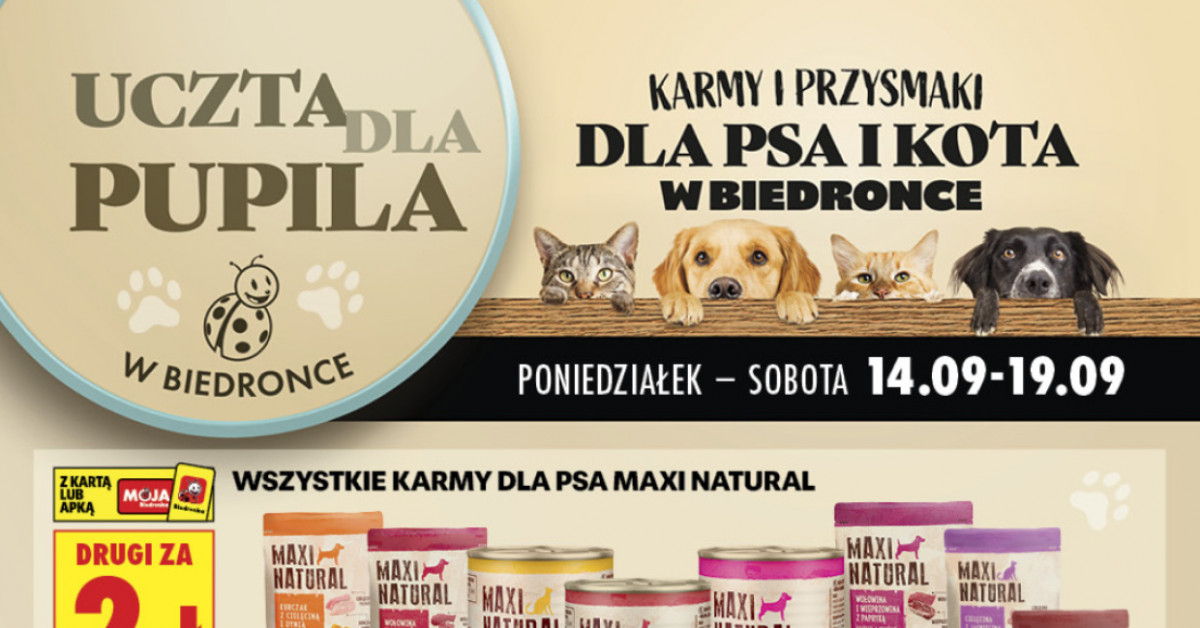 Nowa gazetka Biedronka 14.09–19.09: Zobacz, co warto kupić — szybkie podsumowanie hitów!