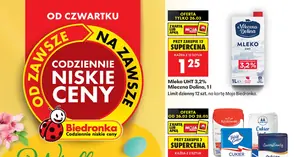 Hit wielkanocny za grosze: narcyz w doniczce tylko 4,99 zł — dekoracja, którą pokochasz