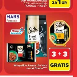 Karma dla kota Sheba