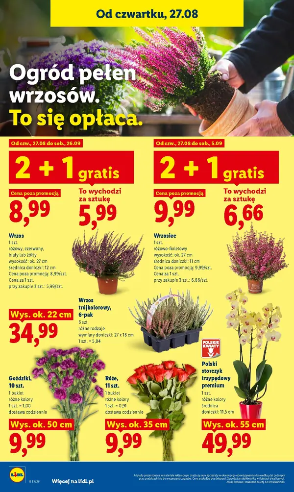 Strona 86 gazetki Lidl