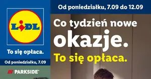 Ogród jak spod igły: akumulatorowe nożyce do żywopłotu 40 V przecenione do 246 zł — hit czy kit?