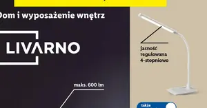 Dwustrefowa frytkownica Air Fryer w Lidlu za 299 zł — rewolucja w kuchni za grosze!