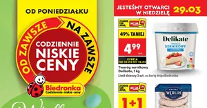 Nowa gazetka Biedronka (23.03–28.03). 10 hitów, które MUSISZ zobaczyć zanim znikną!