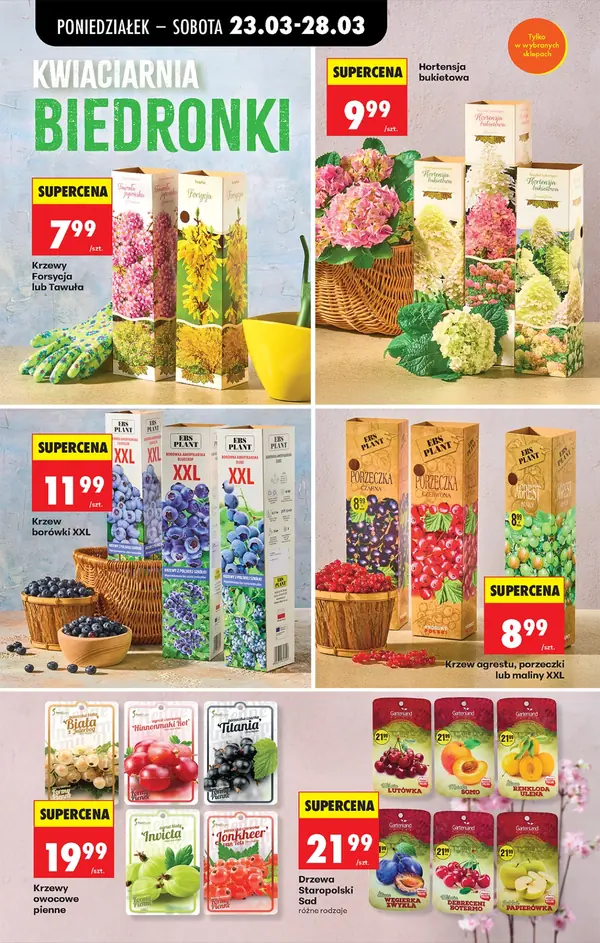 Strona 14 gazetki Biedronka