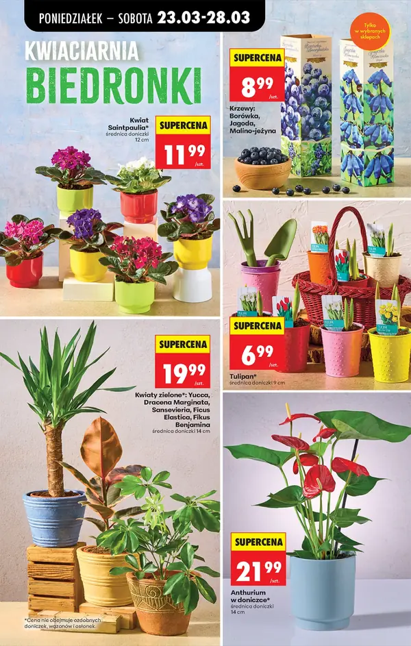 Strona 15 gazetki Biedronka