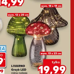 Grzyb LED
