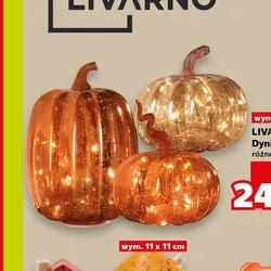 Dynia LED