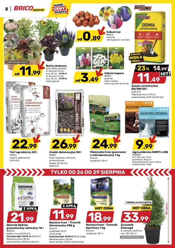 Сторінка 2 каталогу Bricomarche