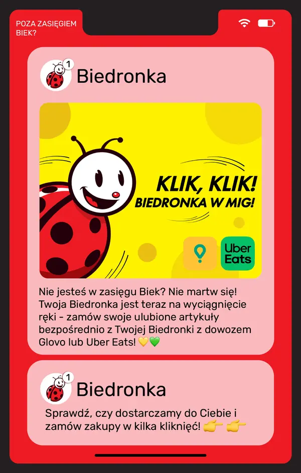 Strona 20 gazetki Biedronka