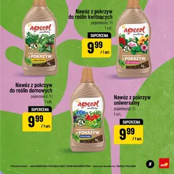 Nawóz z pokrzyw do roślin kwitnących