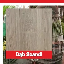PANEL PODŁOGOWY DĄB SCANDI