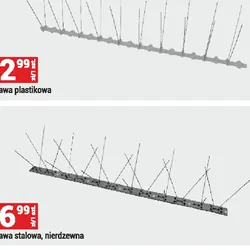 Kolce przeciw ptakom