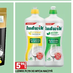 LUDWIK PŁYN DO MYCIA NACZYŃ