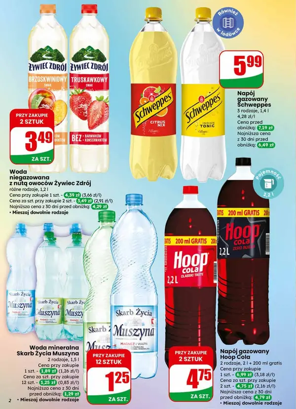 Strona 2 gazetki Dino