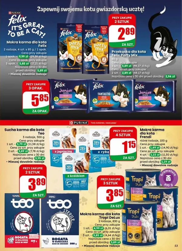 Strona 53 gazetki Dino