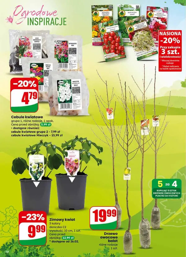 Strona 58 gazetki Dino