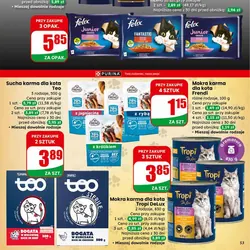 Mokra karma dla kota Frendi