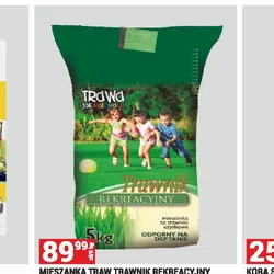 MIESZANKA TRAW TRAWNIK REKREACYJNY
