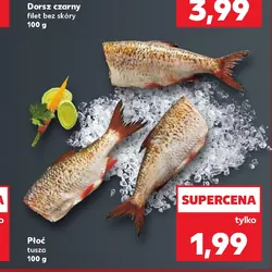 Płoć tusza